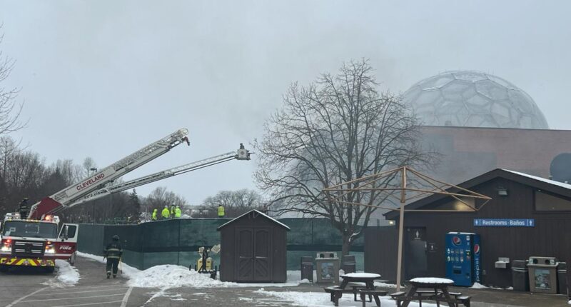 'The damage is minimal': Cleveland Metroparks Zoo resumes transformation of RainForest exhibit after fire