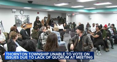 Tiffany Henyard update: Stalemate continues in Thornton Township; Dolton mayor 'cancels' meeting over security concerns