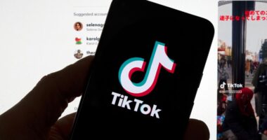 TikTok ban explained: Will the app be deleted from my phone?