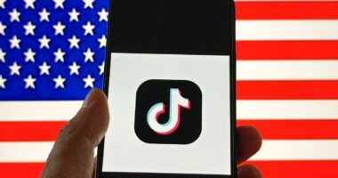 TikTok officially goes dark... but the banned app says 'please stay tuned' for Trump intervention