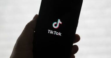 TikTok returning for US users after Donald Trump's pledge