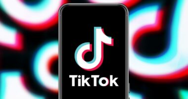 TikTok reveals it plans to 'go dark' on Sunday unless Joe Biden intervenes 'immediately' to stop ban