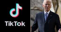 TikTok reveals it plans to 'go dark' on Sunday unless Joe Biden intervenes 'immediately' to stop ban