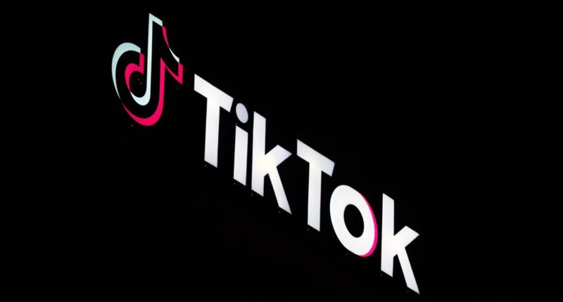 TikTok's fate arrives at Supreme Court in collision of free speech and national security