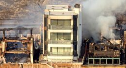 Trash tycoon reveals how 'miracle' Malibu house survived wildfires when everyone else's burned