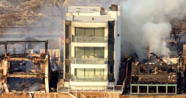 Trash tycoon reveals how 'miracle' Malibu house survived wildfires when everyone else's burned