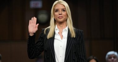 Trump AG pick Pam Bondi would 'make America safe again' with 'back to basics' DOJ approach: former colleague