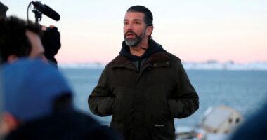 Trump Jr lands in Greenland as president-elect dad wants US to BUY territory…& repeats call for Canada to be 51st state