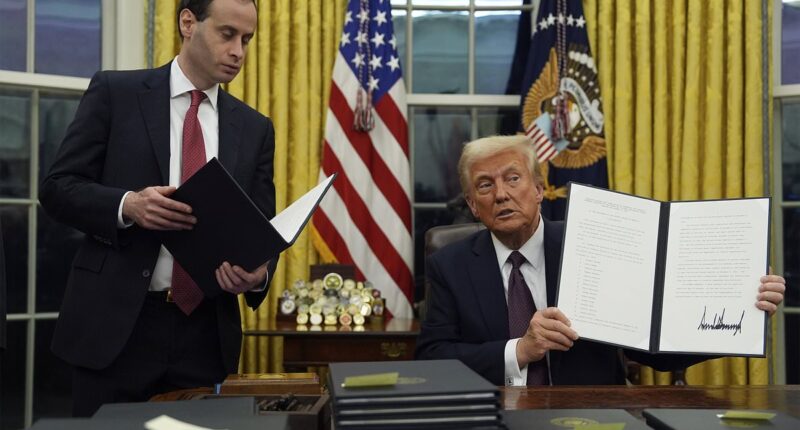 Trump bursts into Oval Office to find surprise from Biden as he declares Mexican drug cartels 'terrorists' and pardons ALL Jan 6 rioters in first White House press conference