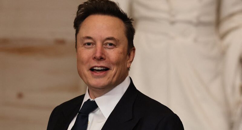 Trump could be losing control of Elon Musk as insiders reveal what First Buddy really thinks about his influence on the president