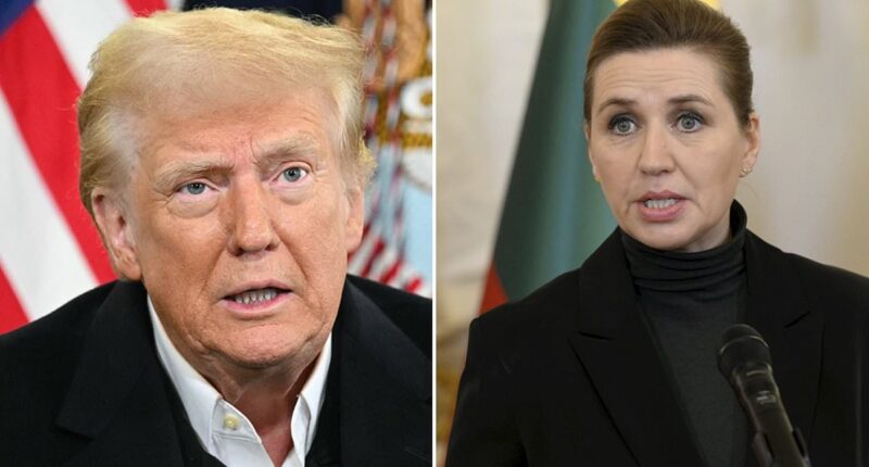 Trump explodes at Denmark PM in 'aggressive' phone call fight over the fate of Greenland