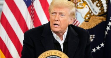 President Donald Trump is briefed on the effects of Hurricane Helene in Fletcher, North Carolina on January 24.