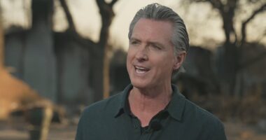 Trump rips 'incompetent' Democrats over deadly LA fire chaos as Newsom hits back with 'disinformation' claim