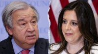 Trump's UN ambassador pick Elise Stefanik could save taxpayers millions if taps Musk-Ramaswamy 'DOGE'