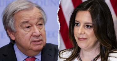 Trump's UN ambassador pick Elise Stefanik could save taxpayers millions if taps Musk-Ramaswamy 'DOGE'