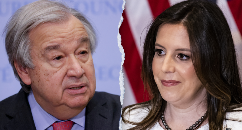 Trump's UN ambassador pick Elise Stefanik could save taxpayers millions if taps Musk-Ramaswamy 'DOGE'