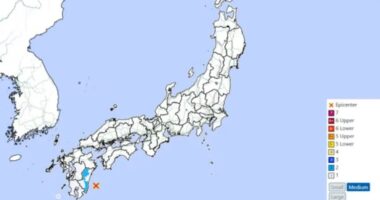 Tsunami warning issued after huge 6.9 magnitude earthquake strikes ‘Ring of Fire’ off the coast of Japan