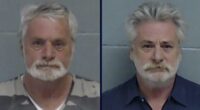 Twin brothers sexually abused 'numerous' children: Police