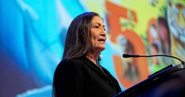 US Interior Secretary Deb Haaland reflects on tough choices during a historic tenure