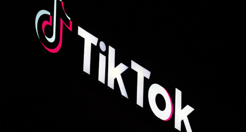 US social media: TikTok creators left in limbo while awaiting decision on potential platform ban