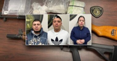 US sting snares armed felon smugglers tied to foreign prison gang, cartel: police