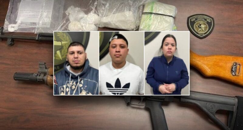 US sting snares armed felon smugglers tied to foreign prison gang, cartel: police