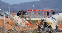 Veteran pilot says South Korea airport NEVER told them deadly concrete wall existed – aviators thought it was DIRT pile