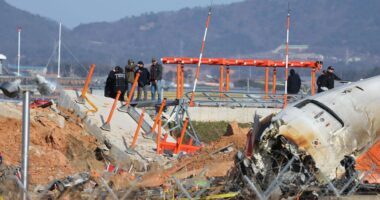 Veteran pilot says South Korea airport NEVER told them deadly concrete wall existed – aviators thought it was DIRT pile