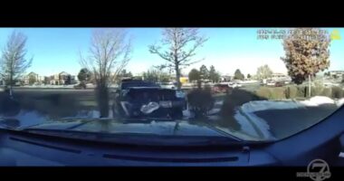 Video: Parker police make first felony arrest in Colorado's new 23rd Judicial District