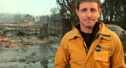 Viewers gasp as TV journalist makes heartbreaking revelation during live LA wildfire report outside burned down house