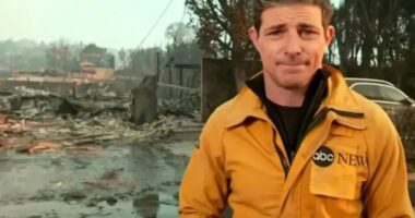 Viewers gasp as TV journalist makes heartbreaking revelation during live LA wildfire report outside burned down house