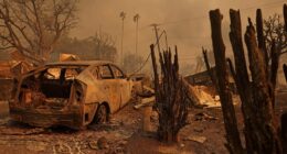 Warner Music/ Blavatnik Foundation to Donate $1 Million to Fire Relief in Los Angeles