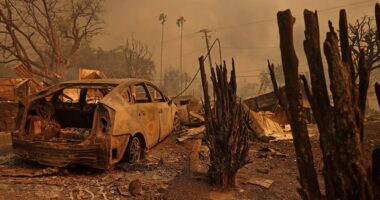 Warner Music/ Blavatnik Foundation to Donate $1 Million to Fire Relief in Los Angeles