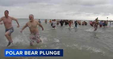 Waukegan polar plunge: Hundreds brave cold temperatures of Lake Michigan at annual 'Polar Bear Plunge'