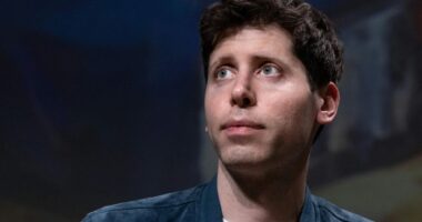 Who are Sam Altman’s brothers Jack and Max?