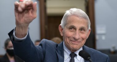 Why Anthony Fauci could've faced five years in jail if Biden hadn't pardoned him