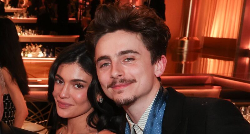 Why Timothee Chalamet and Kylie Jenner's romance has enraged his fans so much they're threatening a terrible revenge. ALISON BOSHOFF reveals what friends are now saying is the truth about their unlikely love