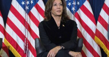 Will Certifying Trump Victory Elevate Kamala Harris to Democrat Party Martyrdom?