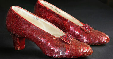 Wizard of Oz ruby slippers suspect's expected guilty plea postponed after hospitalization