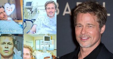 Woman Defrauded Of $850,000 By AI Brad Pitt After Divorcing Her Husband In Shocking Romance Scam