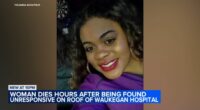 Woman dies after being found on roof of Vista Medical Center East in Waukegan; family of Chelsea Adolphus pleads for answers