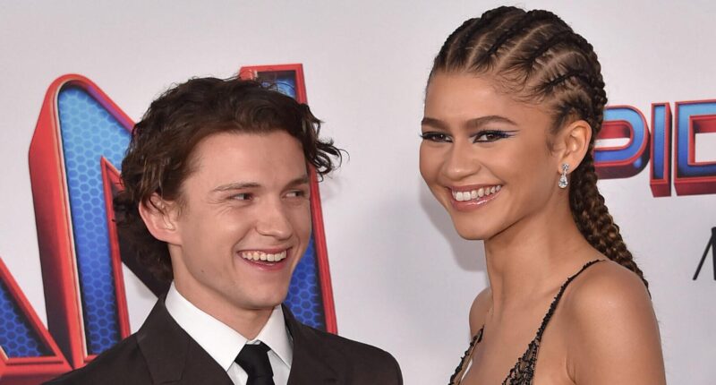 Zendaya and Tom Holland's Engagement Status Confirmed After Golden Globes Speculation