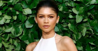 Zendaya reveals the 'highly stressful' loss from 2013 that she's 'still harboring a little animosity' over