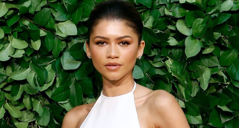 Zendaya reveals the 'highly stressful' loss from 2013 that she's 'still harboring a little animosity' over