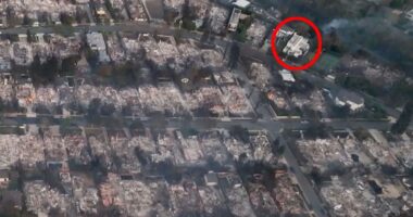 ‘Luckiest home in LA’ seen in devastating pic showing it’s the ONLY building left after whole district razed by wildfire