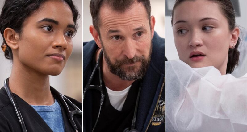 ‘The Pitt’ Cast Guide: From Noah Wyle to Shawn Hatosy, Meet the Doctors of PTMH