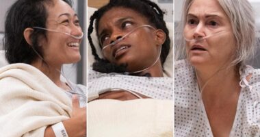 ‘The Pitt’ Cast Guide [Patient Edition]: Meet the Actors Crashing PMTH’s ER for Dr. Robby’s Help