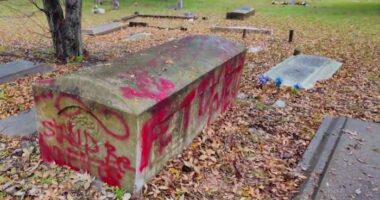 ‘Very disgusted:’ Gravestone vandalized at historic Black cemetery in Florida