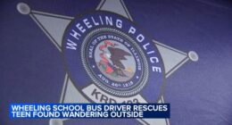 14-year-old boy with special needs found wandering by school bus driver in Wheeling, police database helped identify teen