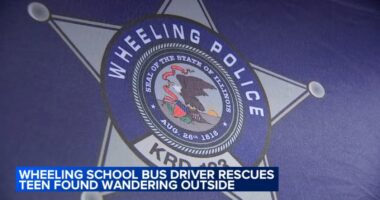 14-year-old boy with special needs found wandering by school bus driver in Wheeling, police database helped identify teen